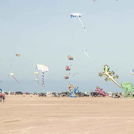 Ferienhaus Amazing In Romo With Sauna *